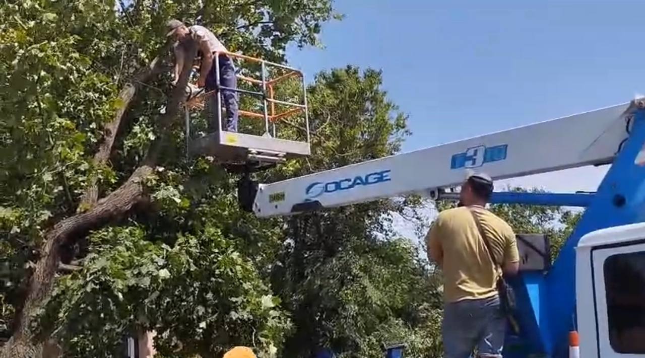 Впорядковують приватний сектор після буревію комунальники: Новини Харкова